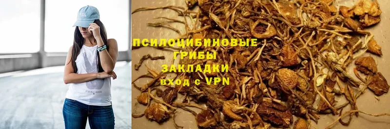 Галлюциногенные грибы Magic Shrooms  Алексеевка 